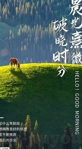 飞足球比分-飞足球比分，绿茵场上的数字心跳与激情交响