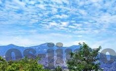 日本踢足球比分-日本足球，比分背后的崛起密码与亚洲新势力