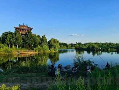 新浪足球500比分直播-新浪足球500比分直播，足球迷的实时观赛新选择